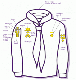 Click to download PDF Picture