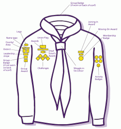 Click to download PDF Picture